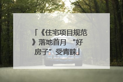 《住宅项目规范》落地首月 “好房子”受青睐