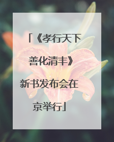 《孝行天下 善化清丰》新书发布会在京举行
