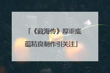 《藏海传》厚重底蕴精良制作引关注