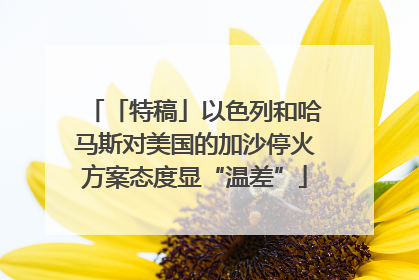 「特稿」以色列和哈马斯对美国的加沙停火方案态度显“温差”