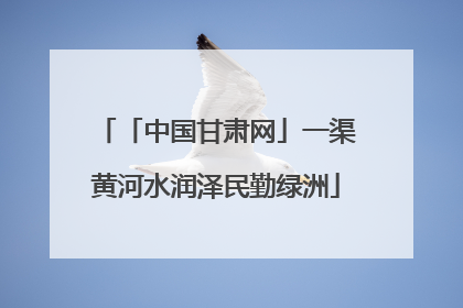「中国甘肃网」一渠黄河水润泽民勤绿洲