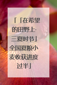 「在希望的田野上·三夏时节」全国夏粮小麦收获进度过半