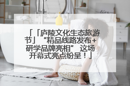 「庐陵文化生态旅游节」“精品线路发布+研学品牌亮相” 这场开幕式亮点纷呈！