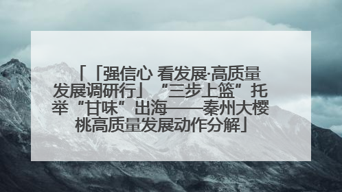 「强信心 看发展·高质量发展调研行」“三步上篮”托举“甘味”出海——秦州大樱桃高质量发展动作分解