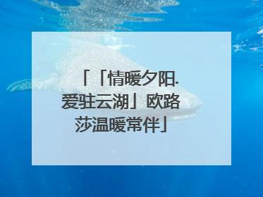 「情暖夕阳.爱驻云湖」欧路莎温暖常伴