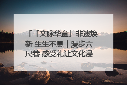 「文脉华章」非遗焕新 生生不息｜漫步六尺巷 感受礼让文化浸润的“巷”往生活
