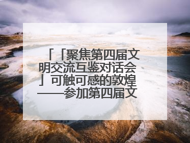 「聚焦第四届文明交流互鉴对话会」可触可感的敦煌——参加第四届文明交流互鉴对话会的外宾参观上元市集