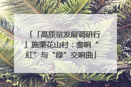 「高质量发展调研行」施秉花山村：奏响“红”与“绿”交响曲