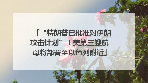 “特朗普已批准对伊朗攻击计划”！美第三艘航母将部署至以色列附近