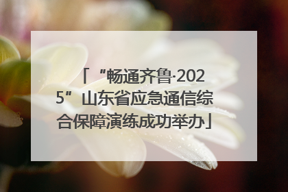 “畅通齐鲁·2025”山东省应急通信综合保障演练成功举办