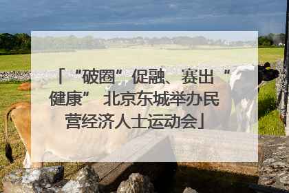 “破圈”促融、赛出“健康” 北京东城举办民营经济人士运动会