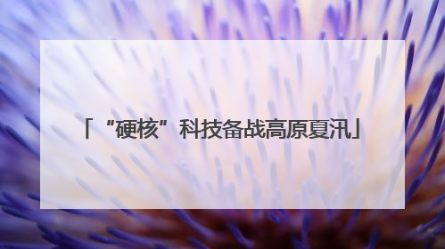 “硬核”科技备战高原夏汛