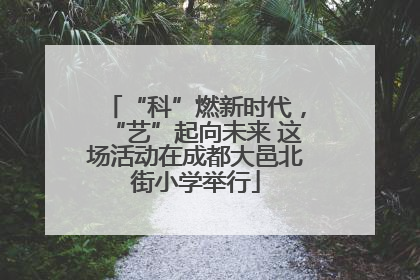 “科”燃新时代，“艺”起向未来 这场活动在成都大邑北街小学举行