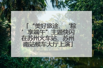 “美好旅途、‘粽’享端午”主题快闪在苏州火车站、苏州南站候车大厅上演