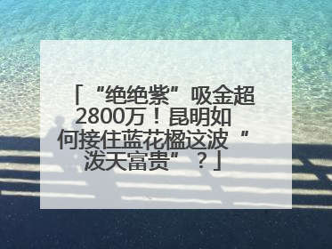 “绝绝紫”吸金超2800万！昆明如何接住蓝花楹这波“泼天富贵”？