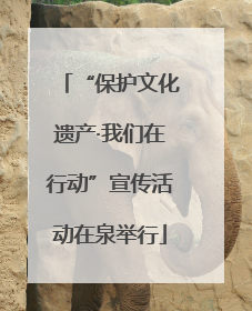 “保护文化遗产·我们在行动”宣传活动在泉举行
