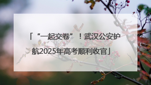 “一起交卷”！武汉公安护航2025年高考顺利收官