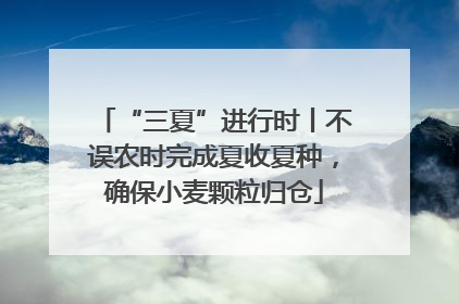 “三夏”进行时丨不误农时完成夏收夏种，确保小麦颗粒归仓