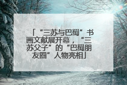 “三苏与巴蜀”书画文献展开幕，“三苏父子”的“巴蜀朋友圈”人物亮相