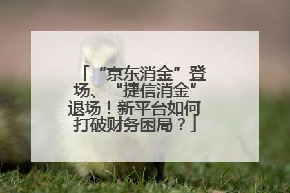 “京东消金”登场、“捷信消金”退场！新平台如何打破财务困局？