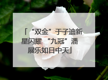 “双金”于子迪新星闪耀 “九冠”潘展乐如日中天