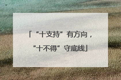 “十支持”有方向，“十不得”守底线
