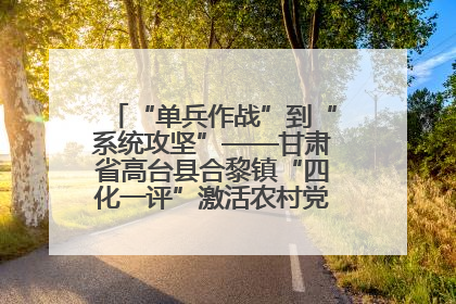 “单兵作战”到“系统攻坚”——甘肃省高台县合黎镇“四化一评”激活农村党员管理新引擎