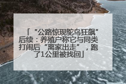 “公路惊现鸵鸟狂飙”后续：养殖户称它与同类打闹后“离家出走”，跑了1公里被找回