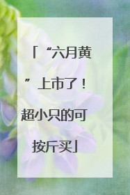 “六月黄”上市了！超小只的可按斤买
