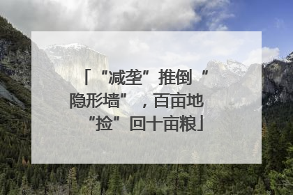 “减垄”推倒“隐形墙”，百亩地“捡”回十亩粮