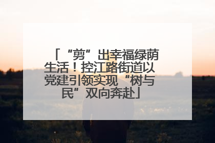 “剪”出幸福绿荫生活！控江路街道以党建引领实现“树与民”双向奔赴