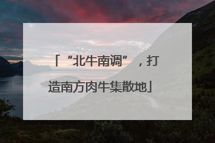 “北牛南调”，打造南方肉牛集散地