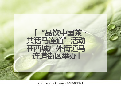 “品饮中国茶・共话马连道”活动在西城广外街道马连道街区举办