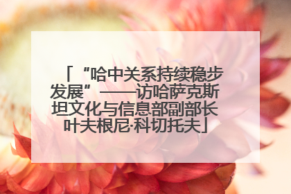 “哈中关系持续稳步发展”——访哈萨克斯坦文化与信息部副部长叶夫根尼·科切托夫