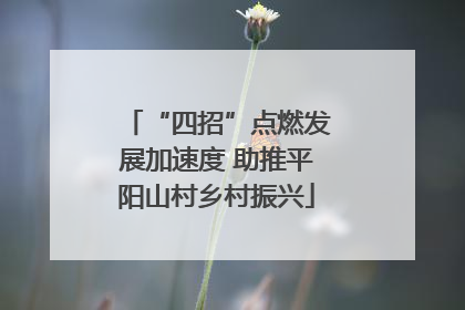 “四招”点燃发展加速度 助推平阳山村乡村振兴