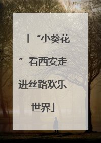 “小葵花”看西安走进丝路欢乐世界
