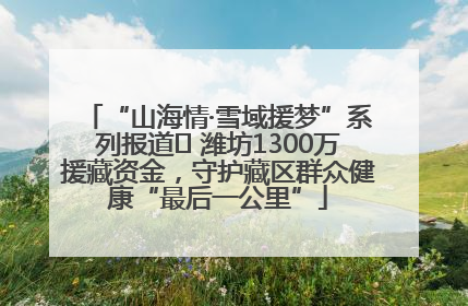 “山海情·雪域援梦”系列报道⑪ 潍坊1300万援藏资金，守护藏区群众健康“最后一公里”