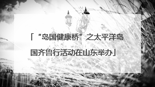 “岛国健康桥”之太平洋岛国齐鲁行活动在山东举办