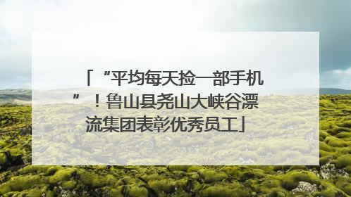 “平均每天捡一部手机”！鲁山县尧山大峡谷漂流集团表彰优秀员工