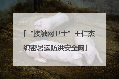 “接触网卫士”王仁杰织密暑运防洪安全网