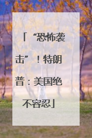 “恐怖袭击”！特朗普：美国绝不容忍