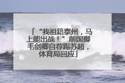 “我祖籍泰州，马上能出战！”前国脚毛剑卿自荐踢苏超，体育局回应