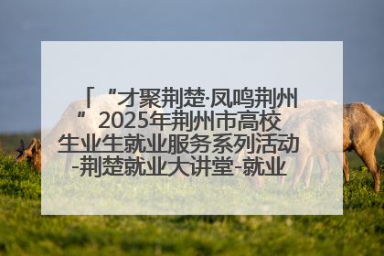 “才聚荆楚·凤鸣荆州”2025年荆州市高校生业生就业服务系列活动-荆楚就业大讲堂-就业嘉年华活动举行