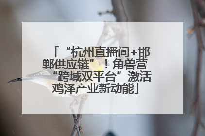 “杭州直播间+邯郸供应链”！角兽营“跨域双平台”激活鸡泽产业新动能