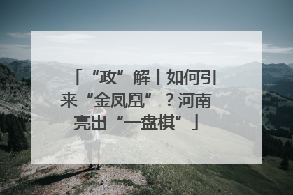 “政”解丨如何引来“金凤凰”？河南亮出“一盘棋”
