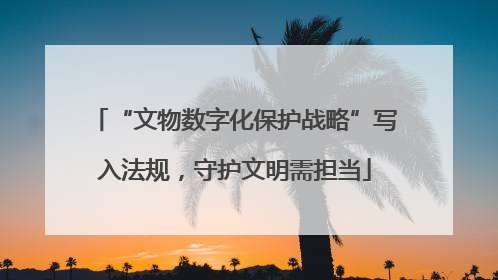 “文物数字化保护战略”写入法规，守护文明需担当