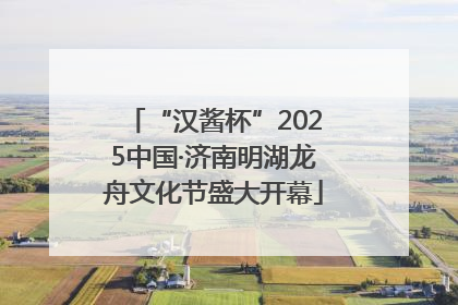 “汉酱杯”2025中国·济南明湖龙舟文化节盛大开幕