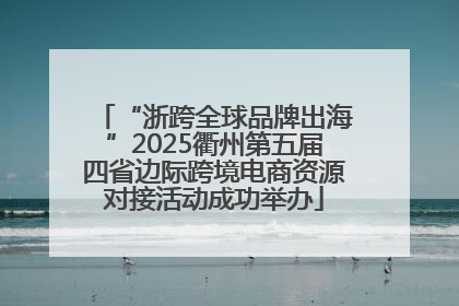“浙跨全球品牌出海”2025衢州第五届四省边际跨境电商资源对接活动成功举办