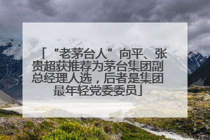 “老茅台人”向平、张贵超获推荐为茅台集团副总经理人选，后者是集团最年轻党委委员