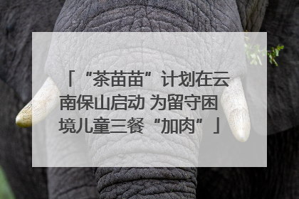 “茶苗苗”计划在云南保山启动 为留守困境儿童三餐“加肉”